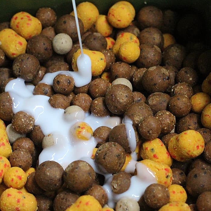 Boilies & Baits