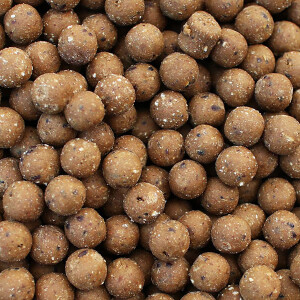 Boilies