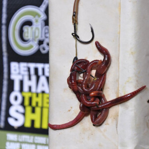 Bait Clips - Medium