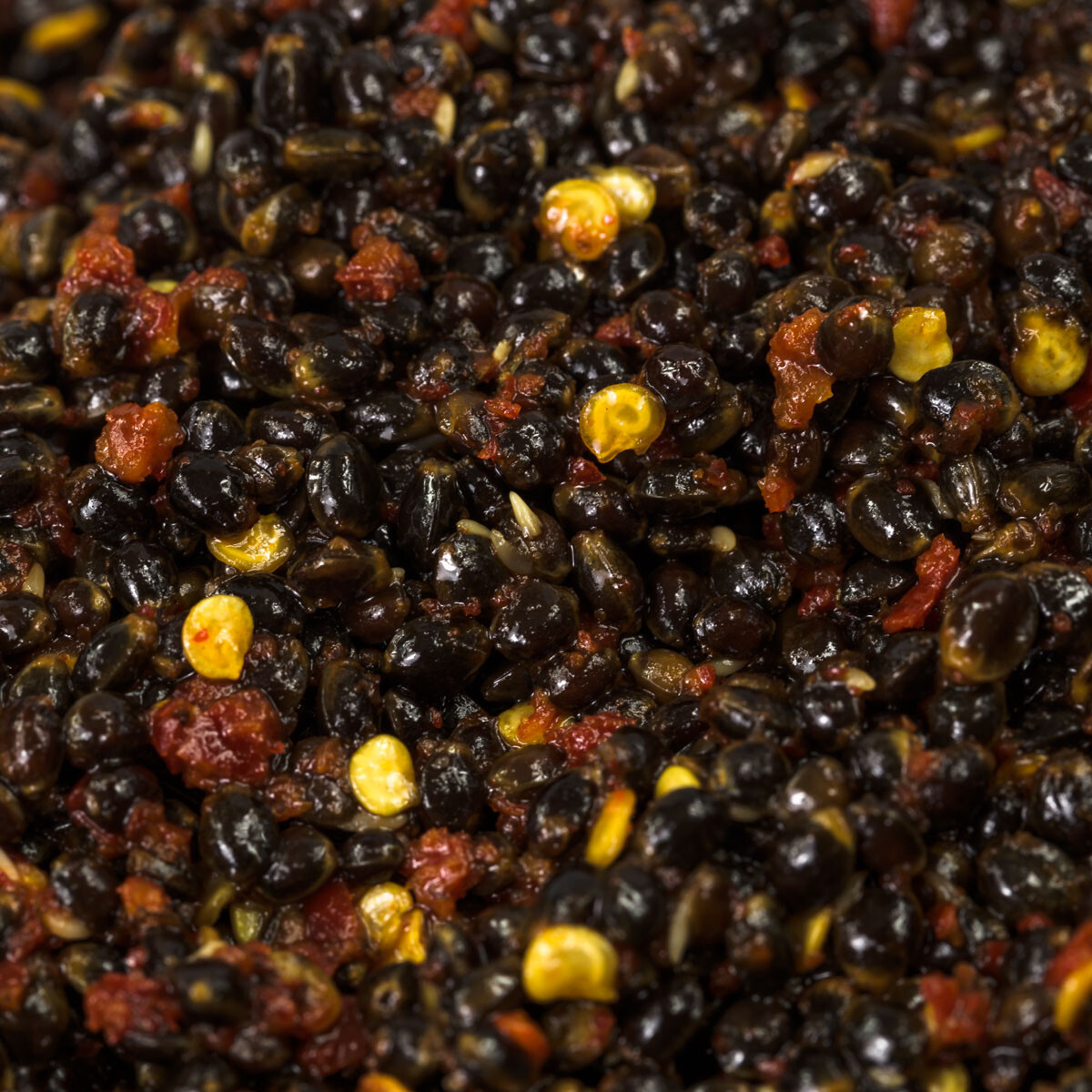 Nautika Chili Hemp Ready2Use Partikel 2500ml