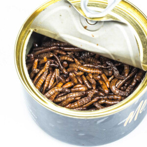 Nautika Canned Insects - Mealworms