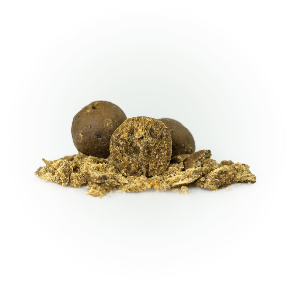 BULKDEAL 30kg Authentic Fish Boilies 25mm